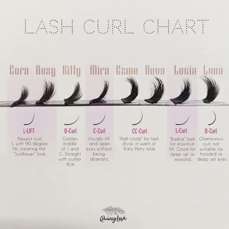 Lash Curl